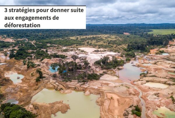 Mettre Le D Veloppement Durable Au Coeur De La Strat Gie D Entreprise