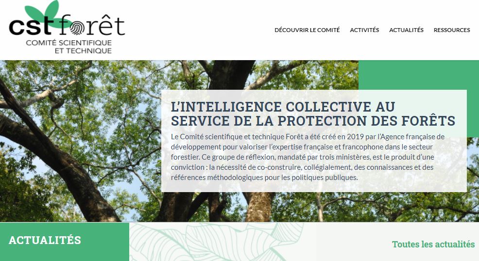 Le site internet du CST-Forêt est disponible - Ekwato