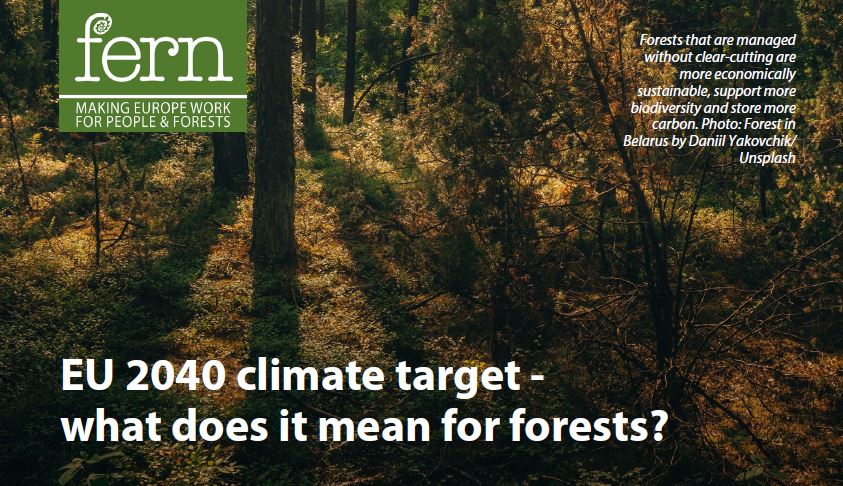 L’UE donne un objectif climatique à 2040 : quelles conséquences pour les forêts ?