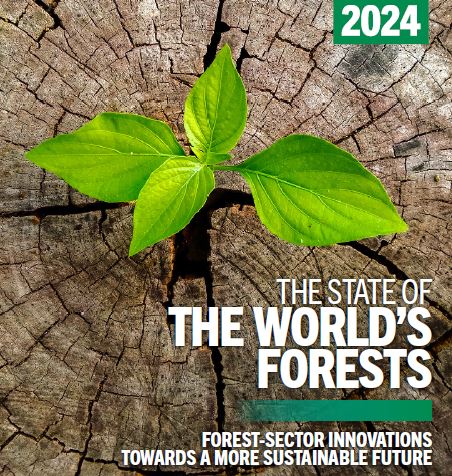 L’Etat des forêts du monde 2024 (FAO) est disponible.