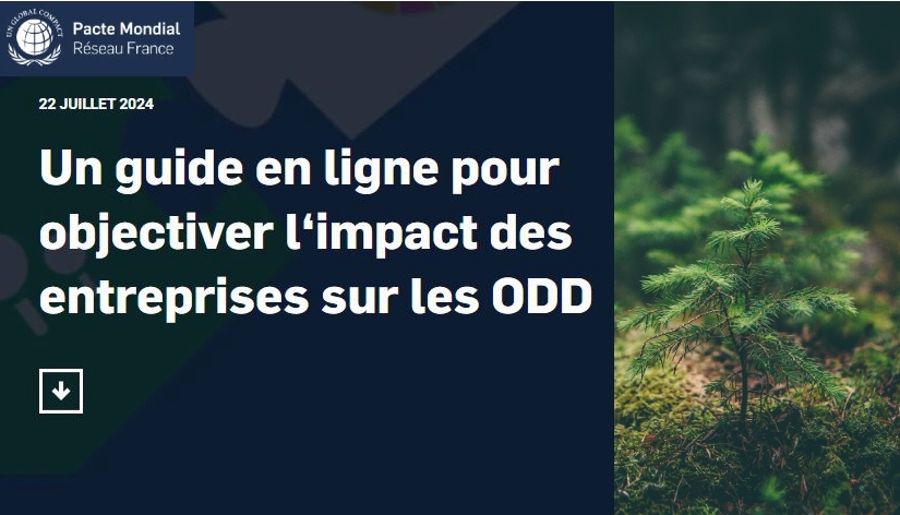 Base de données des indicateurs ODD et normes de reporting : un outil pour les entreprises.