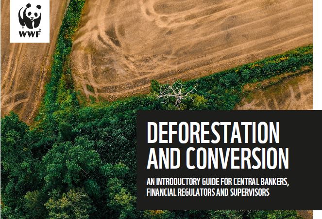 Un guide du WWF sur la déforestation pour les institutions et organismes financiers.