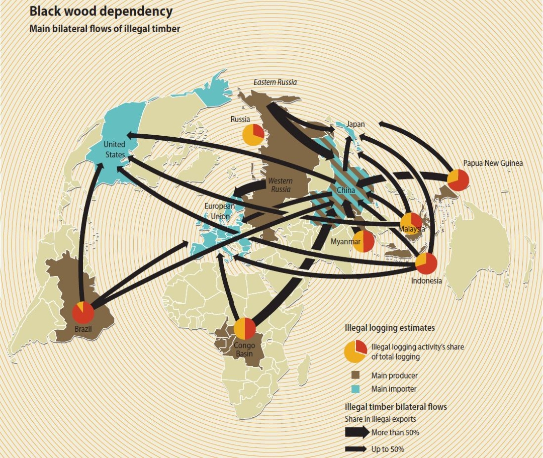 Quels sont les flux des « crimes environnementaux » (dont le bois) ?