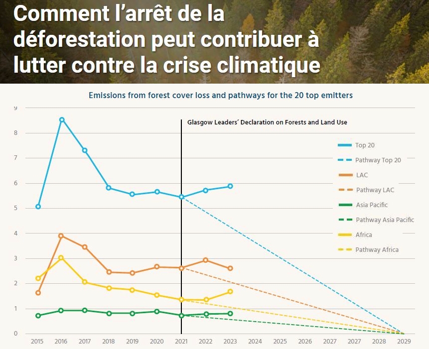 L’arrêt de la déforestation peut-elle contribuer à lutter contre les crises climatiques ?