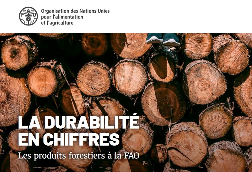 « La durabilité en chiffres » (produits forestiers) publié par la FAO.