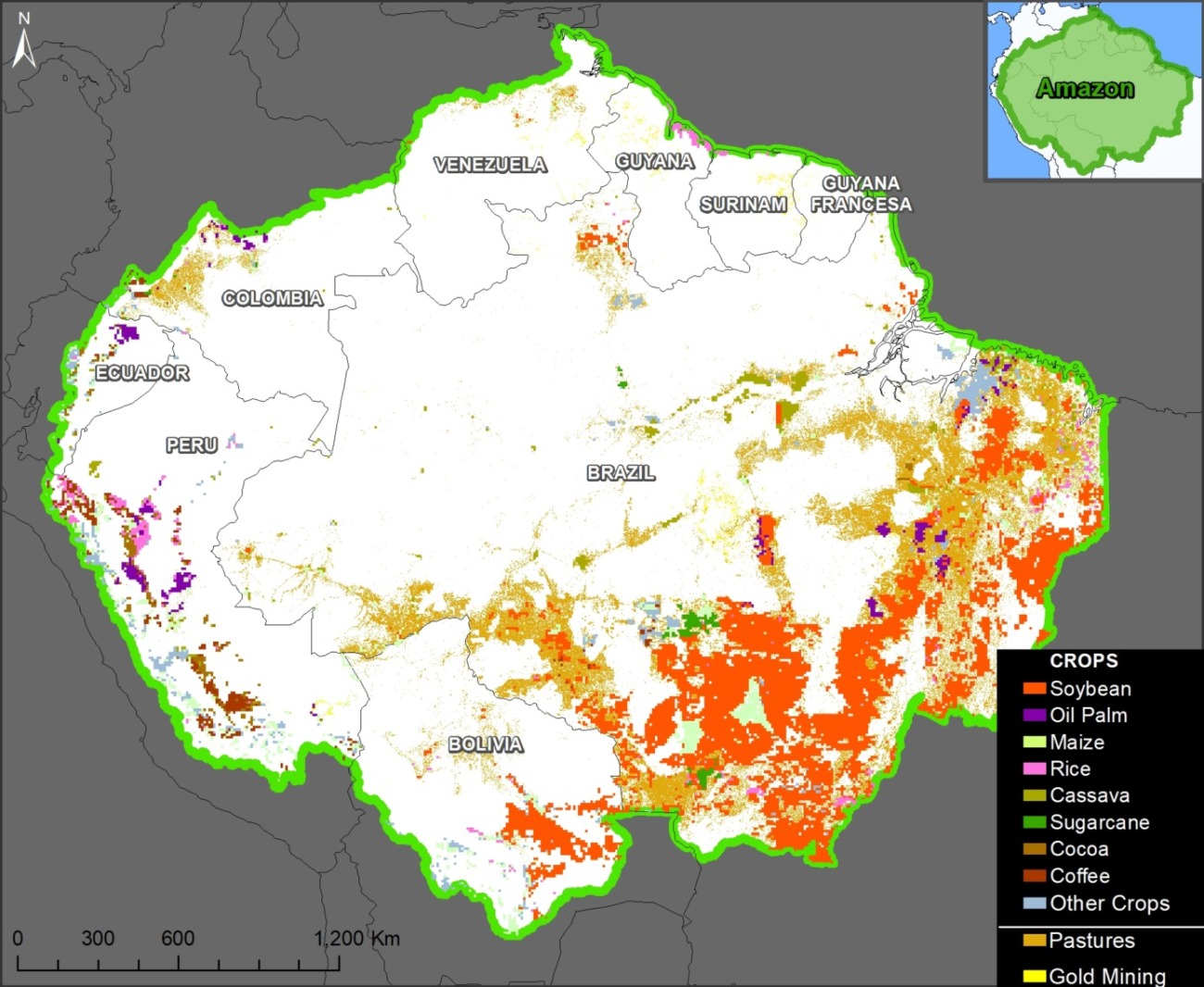 Agriculture en Amazonie : de nouvelles données révèlent la localisation des cultures et des pâturages.