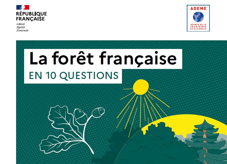 « La forêt française en 10 questions » (ADEME).