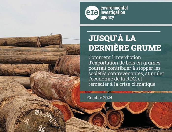 « Jusqu’à la dernière grume » : dernière enquête de l’EIA sur le bois illégal en RDC.