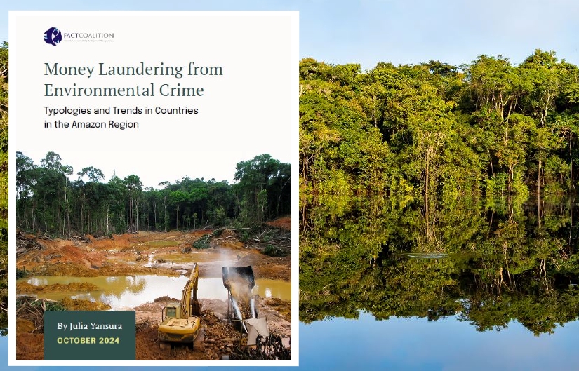 230 crimes environnementaux en Amazonie aux cours des 10 dernières années (étude FACT).