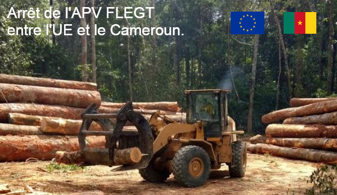 Décision de l’UE : arrêter l’APV FLEGT avec le Cameroun.