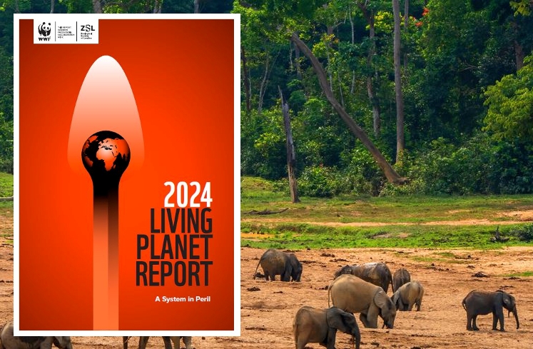 « Des points de basculement dangereux approchent » (WWF, ʺLiving planet report 2024ʺ).