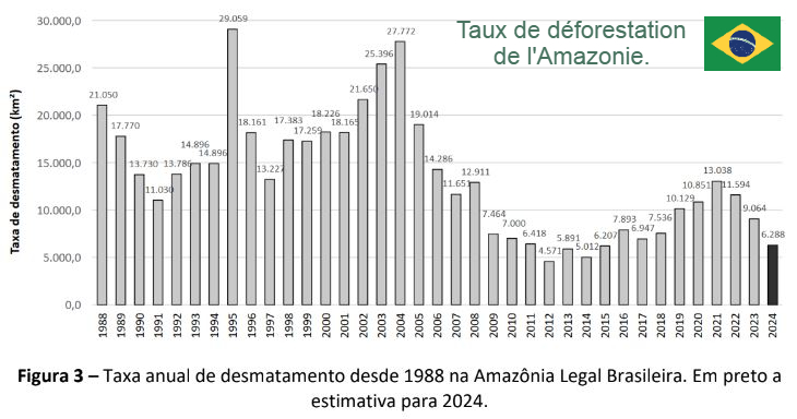 Le taux de déforestation pour l’état Amazonas au Brésil a diminué de 30% par rapport à 2023.