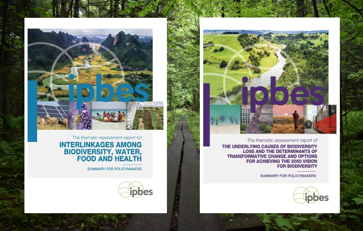 IPBES : les rapports « Nexus » et sur les changements transformateurs interpellent les entreprises.