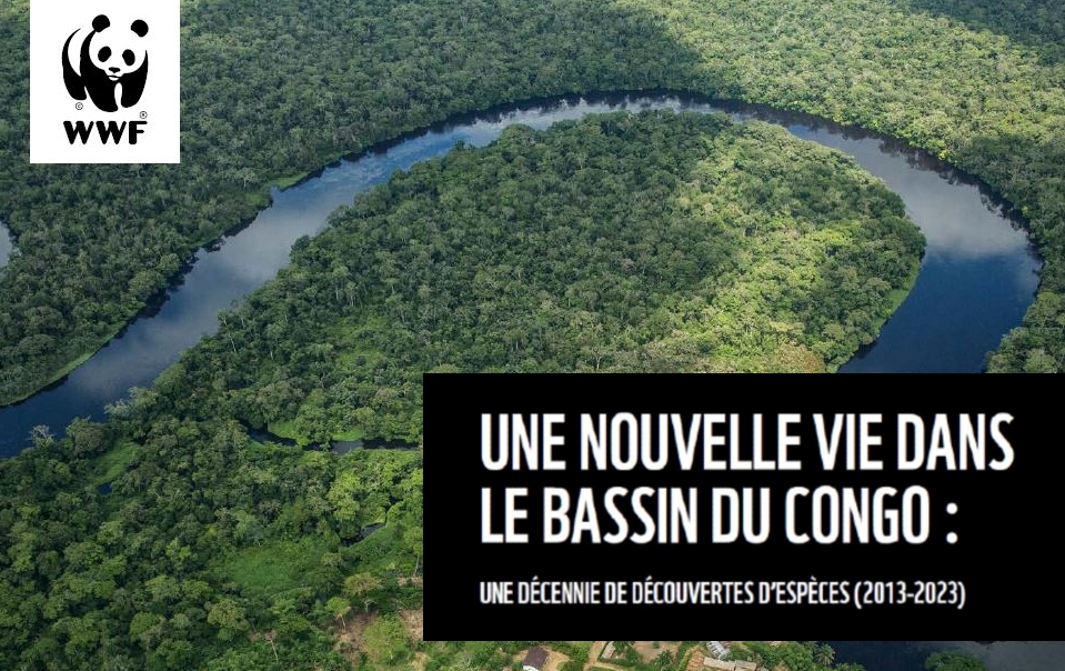 742 nouvelles espèces de faune et de flore découvertes dans le Bassin du Congo.