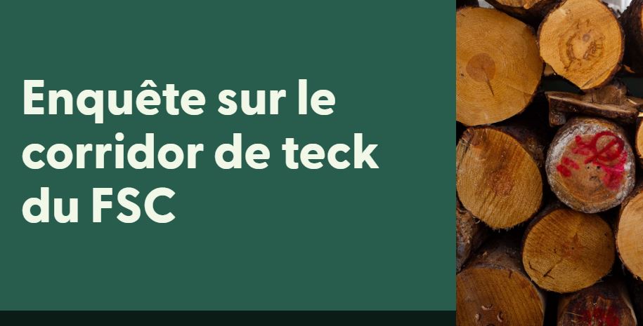 Nouvelle « Transaction FSC » sur la supply-chain du Teck.